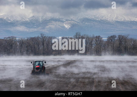 Hokkaido, Traktor seeding ein Feld während Es vaporating vom warmen Boden Stockfoto