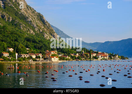 Montenegro, Bucht von Kotor, Ljuta Stockfoto