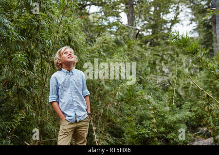 Chile, Puren, El Melado National Park, junge in Bambus Wald suchen Stockfoto