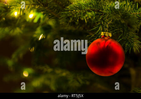 Rote Weihnachtskugel hängend an Tanne Zweig Stockfoto