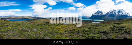 Chile, Patagonien, Torres del Paine Nationalpark, Cerro Paine Grande und Torres del Paine, Lago Nordenskjold und Touristen Stockfoto