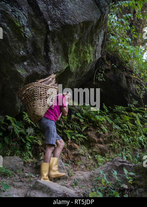 Mann, Brennholz, Bhalu Khop Village, West Sikkim Sikkim Stockfoto