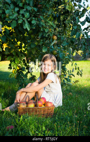 Portrait von glücklichen kleinen Mädchen sitzt auf einer Wiese mit wiccurbasket von ausgewählt Äpfel Stockfoto