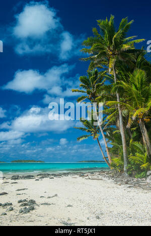 Cook Inseln, Rarotonga, Aitutaki Lagune, White Sand Beach und Palm Beach Stockfoto