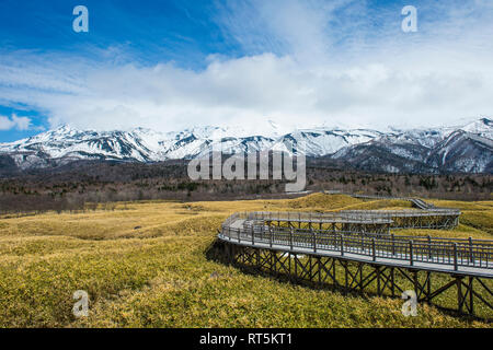 Hokkaido, Shiretoko National Park, Promenade im Bereich Goko Shiretoko Seen Stockfoto