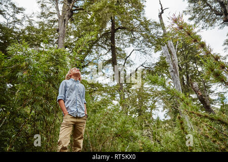 Chile, Puren, El Melado National Park, junge in Bambus Wald suchen Stockfoto