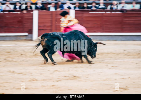 Stierkampf, torero und Stier Stockfoto