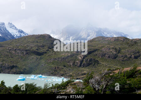 Eisberge auf dem Grauen See, Torres del Paine Nationalpark, Chile. Chilenischen Patagonien panorama Stockfoto