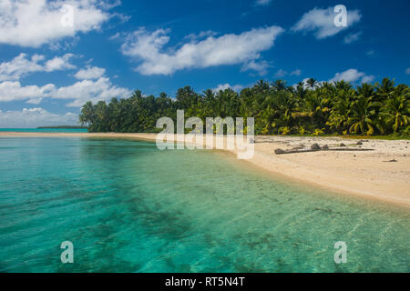 Cook Inseln, Rarotonga, Aitutaki Lagune, White Sand Beach und Palm Beach Stockfoto