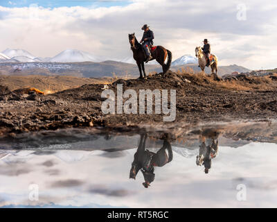 02,23,2019, Kayseri/Türkei, wildes Pferd Treiber in Kayseri Stockfoto
