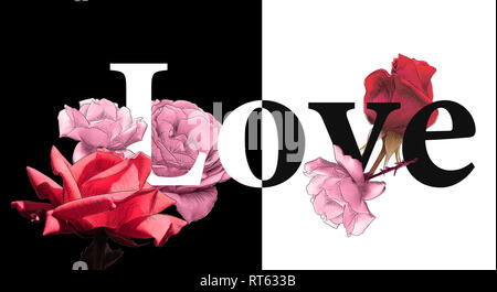 Konzept Liebe farbigen Rosen Black And White background von jziprian Stockfoto