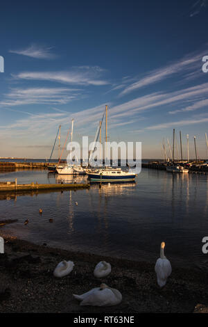 Segeln Boote in einer ruhigen Marina Stockfoto