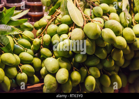 Frisches Wild natürliche tropische asiatische Grüne raw unreife Mangos saftige Steinobst (Pflaume) vom Garten auf Bauernmarkt abgewürgt. Saisonale Nahrung, Summ Stockfoto