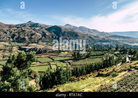 Schöne Aussicht mit landwirtschaftlichen Terrassen in der Sonne im Valle de Colca (Colca Canyon), der Süden Perus. Stockfoto