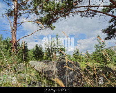 Landschaft Wiesen und Weiden des Baikal National Park. Landschaft Wiesen und Weiden des Baikal National Park. Stockfoto