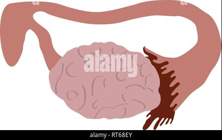 Isolierte menschliche Ovar Stock Vektor