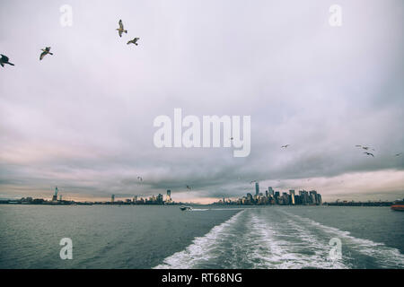 USA, New York, Panorama der Skyline von Manhattan, Vögel fliegen Stockfoto