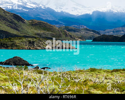 Chile, Patagonien, Torres del Paine Nationalpark, Lago Nordenskjold Stockfoto