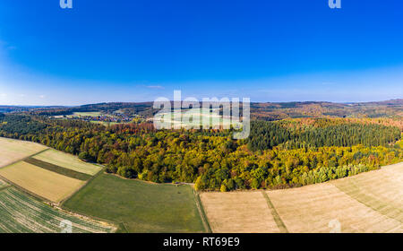 Deutschland, Hessen, Hochtaunuskreis, Luftaufnahme von Wald und Feldern im Herbst Stockfoto