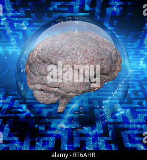 Menschliche Gehirn im Glas Kugel. Stockfoto