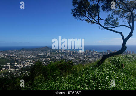 Blick von Tantalus Lookout mit Blick auf Honolulu, Oahu, Hawaii. Stockfoto