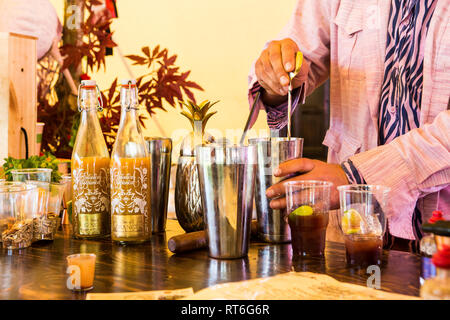 Fantastische Botanicals Alkohol frei Festival bar an Beltane Fire Festival, Sussex, UK Stockfoto