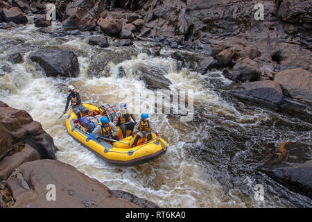 Floß läuft Newland Kaskaden auf der Franklin River Stockfoto