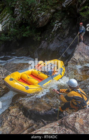 Sparren keine Portagen durch Sidewinder rapid im Inneren der großen Schlucht auf den Franklin River Stockfoto