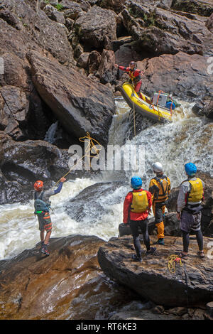 Sparren keine Portagen durch Thunderush rapid im Inneren der großen Schlucht auf den Franklin River Stockfoto