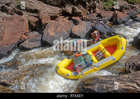 Sparren keine Portagen durch Thunderush rapid im Inneren der großen Schlucht auf den Franklin River Stockfoto