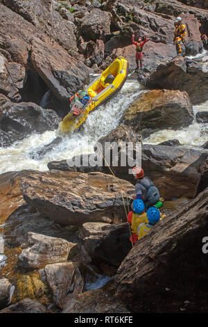 Sparren keine Portagen durch Thunderush rapid im Inneren der großen Schlucht auf den Franklin River Stockfoto