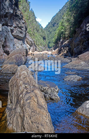 Den Franklin River im Inneren der großen Schlucht Stockfoto