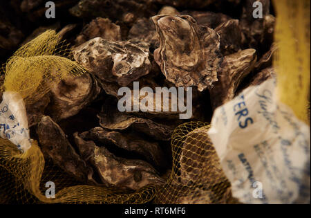 Ein Bündel von frischem un-spezialitäten Austern aus dem Markt in einem Kunststoff gelb Mesh produzieren Beutel. Stockfoto