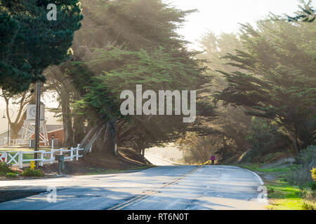 Oceanpoint Ranch - Cambria, Kalifornien - Frau Spaziergänge durch Lichtstrahlen, die entlang einer gekrümmten Straße während am frühen Morgen einen Sonnenaufgang. Stockfoto