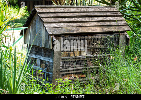 Ein Insekt Hotel in der Nationalen Botanischen Gärten, Natal Midlands, Südafrika. Stockfoto