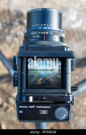 Blick durch den Sucher von Mamiya RZ 67 Medium format Film Kamera. Stockfoto