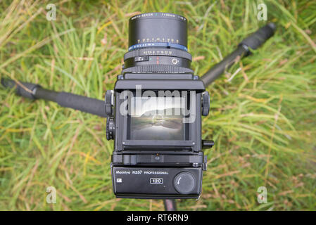 Blick durch den Sucher von Mamiya RZ 67 Medium format Film Kamera. Stockfoto