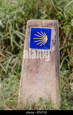 Muschel Symbol des Camino de Santiago Stockfoto