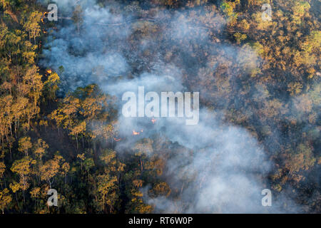 Der Blick auf eine kleine wildfire von oben. Stockfoto