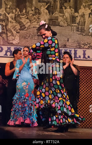 Europa, Spanien, Andalusien, Sevilla, El Patio Sevillano, Flamenco Stockfoto