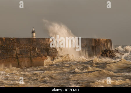 Newhaven, East Sussex, Großbritannien. Februar 2019. Kühlerer Wind aus dem Westen peitscht die Wellen entlang der Südküste hoch, eine Rückkehr zu saisonaleren Bedingungen mit stärkeren Winden, die in den nächsten Tagen vorhergesagt werden. Stockfoto