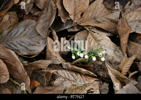 Outdoor, Außen, Stockfoto