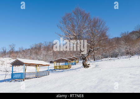 Pavillon für Entspannung im Wintergarten Stockfoto