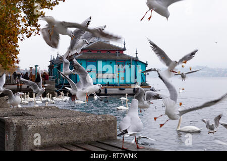 Schweiz, Zürich. Die Herzbaracke Kabarett - Theater auf einem wasserfahrzeug auf dem Zürichsee. Herzbaracke in Schweizer Deutsche Sprache bedeutet entweder Herz Kaserne Stockfoto