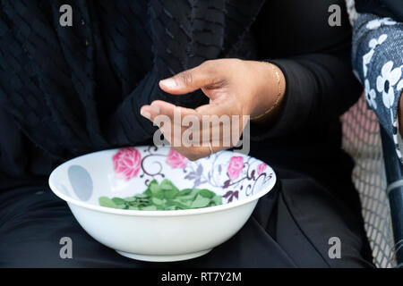 Frau Hand schneiden von Kräutern wie Tee Betel Vorbereitung Stockfoto