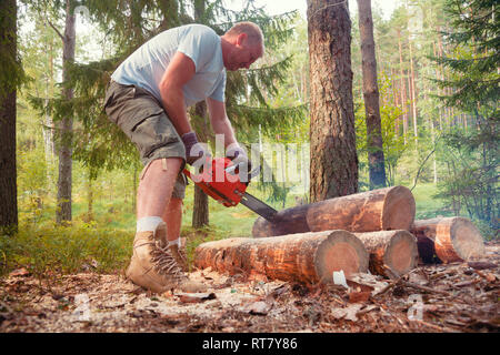 Person mit tragbaren Benzin Kettensäge Brennstämme in einem Sommer Wald camping Schnitt Stockfoto