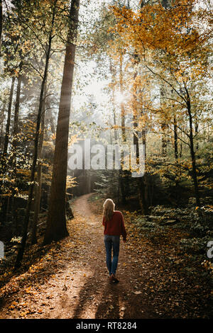 Deutschland, Schwarzwald, Sitzenkirch, Frau wandern im herbstlichen Wald Stockfoto
