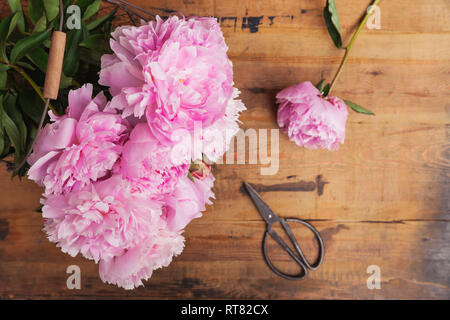 Rosa Pfingstrosen und Schere auf Holz Stockfoto