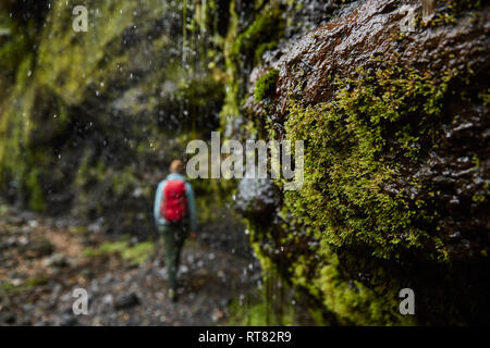 Chile, Patagonien, Vulkan Osorno, Frau wandern in Las Cascadas Wasserfall Stockfoto