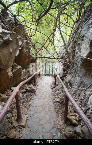 Gehweg und Handläufe zu alten Wald Hup Pa Tat in Uthai Thani, Thailand gehen. Stockfoto